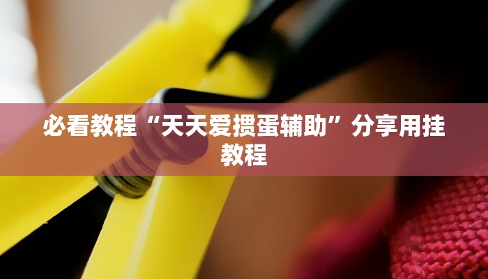 必看教程“天天爱掼蛋辅助”分享用挂教程