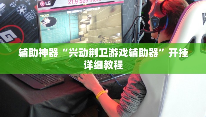 辅助神器“兴动荆卫游戏辅助器”开挂详细教程 辅助神器“兴动荆卫游戏辅助器”开挂详细教程