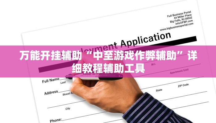 万能开挂辅助“中至游戏作弊辅助”详细教程辅助工具