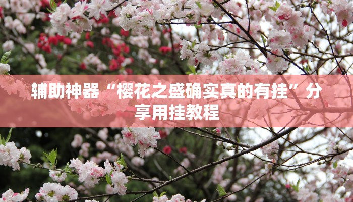 辅助神器“樱花之盛确实真的有挂”分享用挂教程 辅助神器“樱花之盛确实真的有挂”分享用挂教程