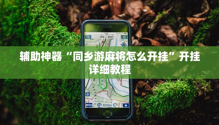 辅助神器“同乡游麻将怎么开挂”开挂详细教程 辅助神器“同乡游麻将怎么开挂”开挂详细教程