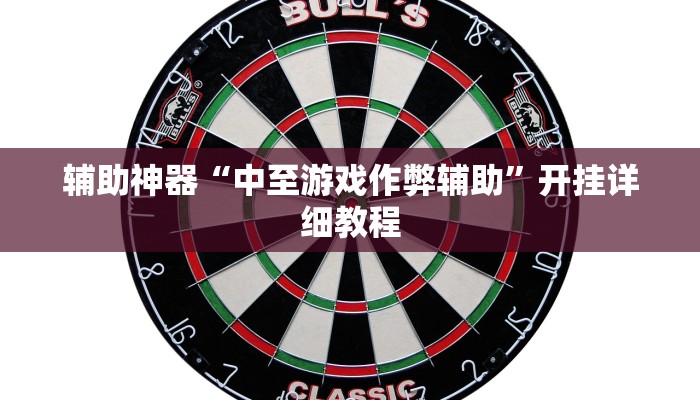 辅助神器“中至游戏作弊辅助”开挂详细教程 辅助神器“中至游戏作弊辅助”开挂详细教程