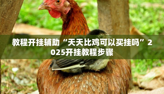 教程开挂辅助“天天比鸡可以买挂吗”2025开挂教程步骤 教程开挂辅助“天天比鸡可以买挂吗”2025开挂教程步骤