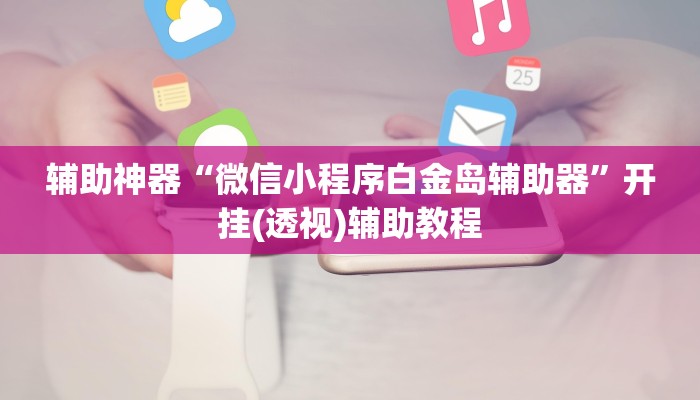 辅助神器“微信小程序白金岛辅助器”开挂(透视)辅助教程