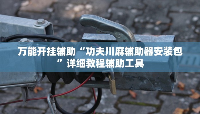 万能开挂辅助“功夫川麻辅助器安装包”详细教程辅助工具 万能开挂辅助“功夫川麻辅助器安装包”详细教程辅助工具