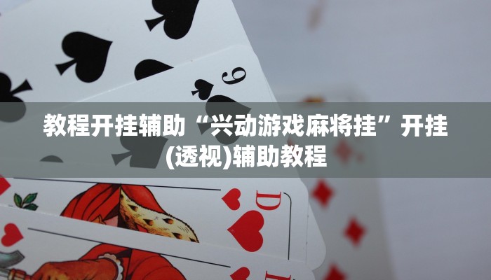 教程开挂辅助“兴动游戏麻将挂”开挂(透视)辅助教程 教程开挂辅助“兴动游戏麻将挂”开挂(透视)辅助教程