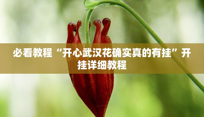 必看教程“开心武汉花确实真的有挂”开挂详细教程 必看教程“开心武汉花确实真的有挂”开挂详细教程