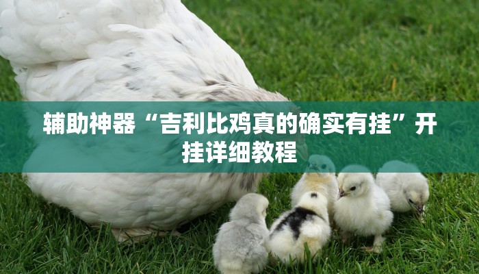 辅助神器“吉利比鸡真的确实有挂”开挂详细教程 辅助神器“吉利比鸡真的确实有挂”开挂详细教程