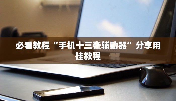 必看教程“手机十三张辅助器”分享用挂教程