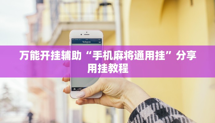 辅助神器“微乐陕西挖坑辅助”开挂详细教程