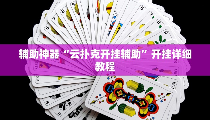 辅助神器“云扑克开挂辅助”开挂详细教程