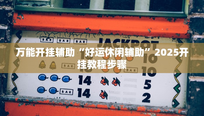 万能开挂辅助“好运休闲辅助”2025开挂教程步骤
