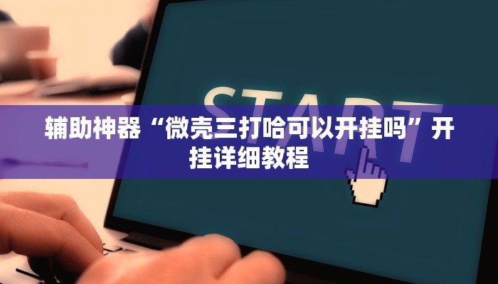 辅助神器“微壳三打哈可以开挂吗”开挂详细教程 辅助神器“微壳三打哈可以开挂吗”开挂详细教程