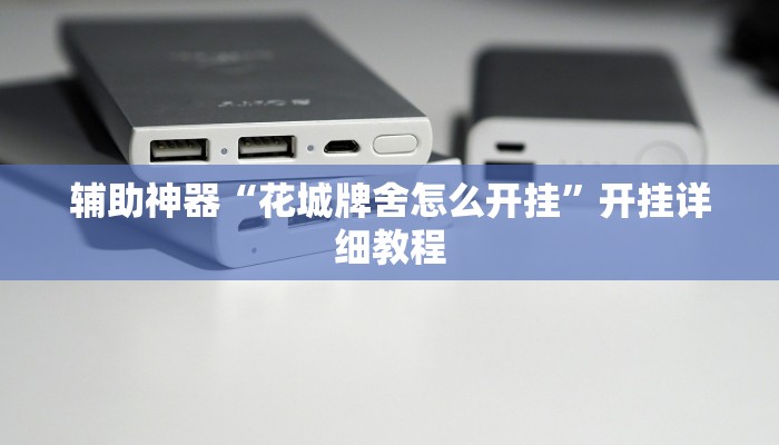 辅助神器“花城牌舍怎么开挂”开挂详细教程 辅助神器“花城牌舍怎么开挂”开挂详细教程