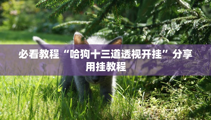 必看教程“哈狗十三道透视开挂”分享用挂教程