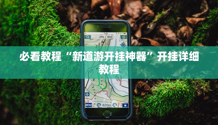 必看教程“新道游开挂神器”开挂详细教程 必看教程“新道游开挂神器”开挂详细教程