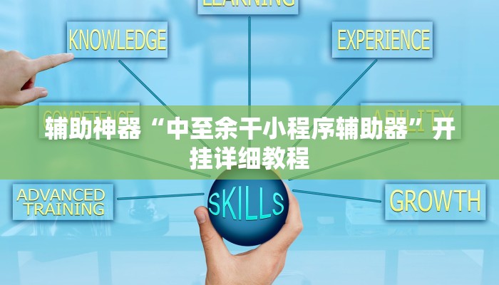 辅助神器“中至余干小程序辅助器”开挂详细教程 辅助神器“中至余干小程序辅助器”开挂详细教程