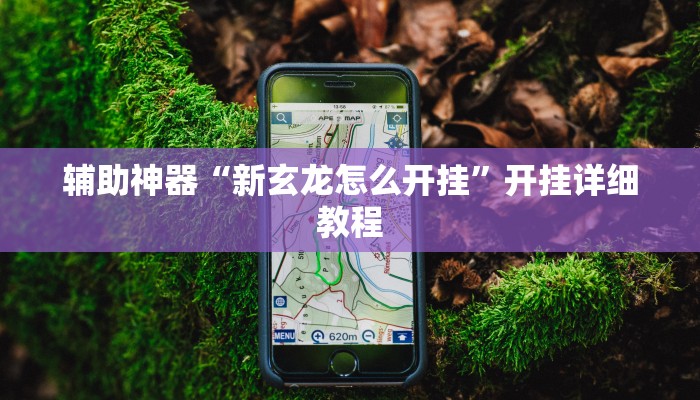 辅助神器“新玄龙怎么开挂”开挂详细教程 辅助神器“新玄龙怎么开挂”开挂详细教程