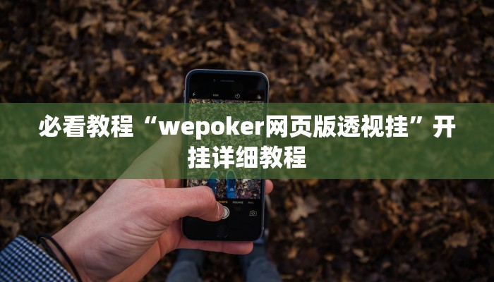 必看教程“wepoker网页版透视挂”开挂详细教程