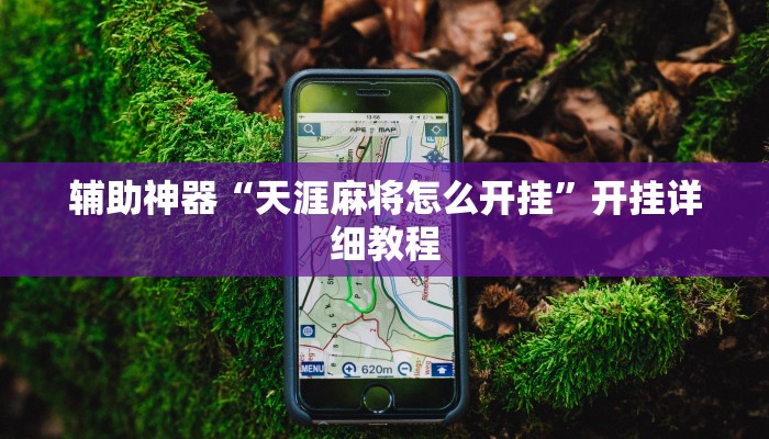 辅助神器“天涯麻将怎么开挂”开挂详细教程