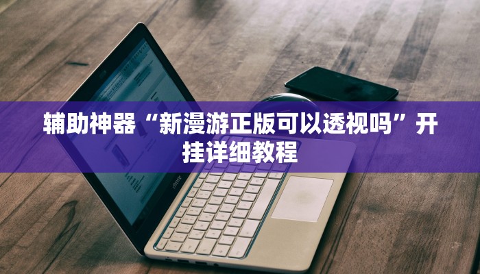 辅助神器“新漫游正版可以透视吗”开挂详细教程