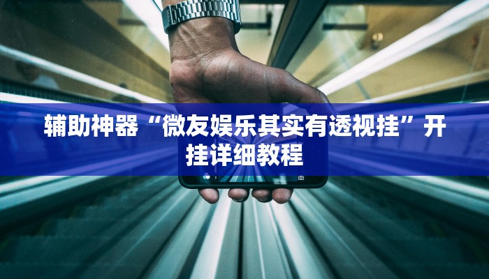 辅助神器“微友娱乐其实有透视挂”开挂详细教程