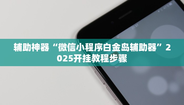 辅助神器“微信小程序白金岛辅助器”2025开挂教程步骤