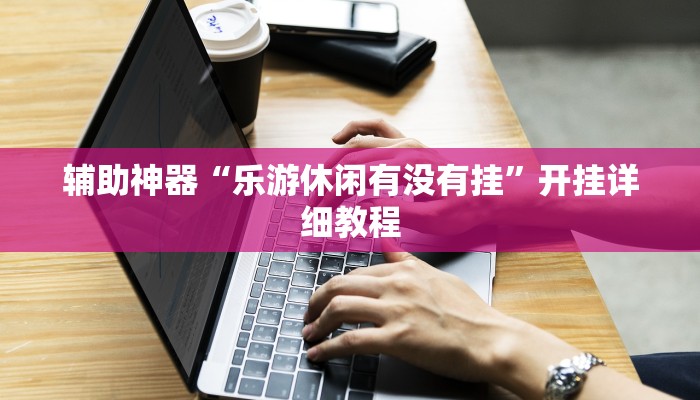 辅助神器“乐游休闲有没有挂”开挂详细教程