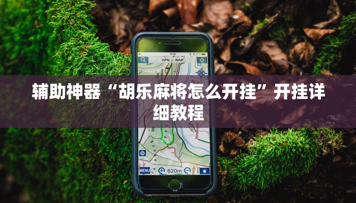 辅助神器“胡乐麻将怎么开挂”开挂详细教程