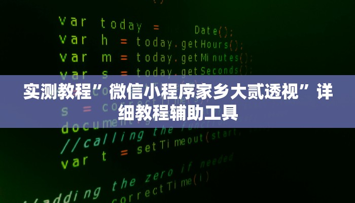 实测教程”微信小程序家乡大贰透视”详细教程辅助工具