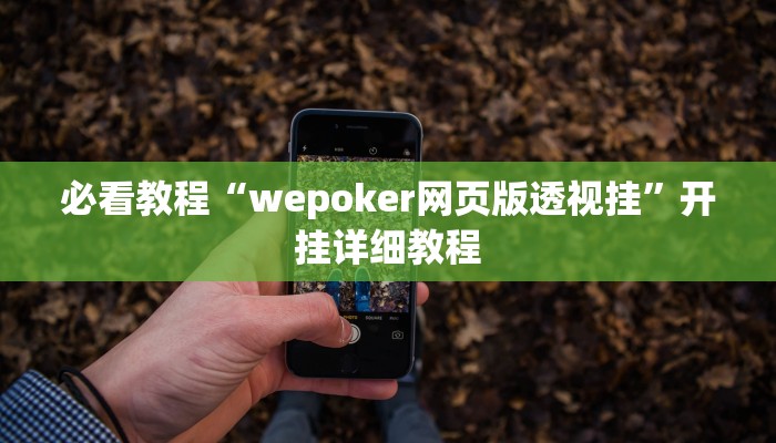 必看教程“wepoker网页版透视挂”开挂详细教程 必看教程“wepoker网页版透视挂”开挂详细教程