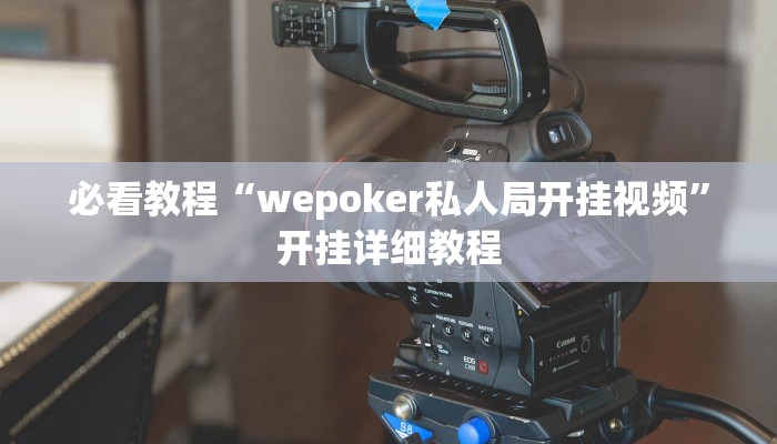 必看教程“WepoKerplus辅助透视软件挂”开挂详细教程