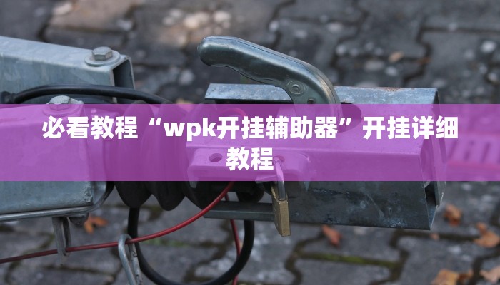 必看教程“wpk开挂辅助器”开挂详细教程