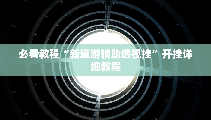 必看教程“新道游辅助透视挂”开挂详细教程