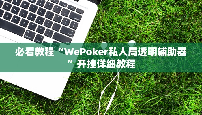 必看教程“WePoker私人局透明辅助器”开挂详细教程