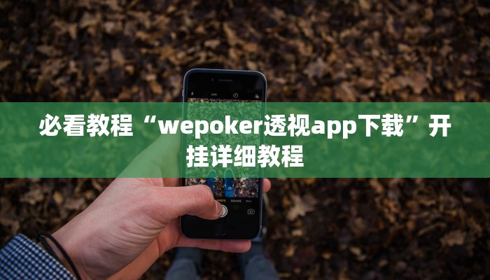 必看教程“wepoker透视app下载”开挂详细教程