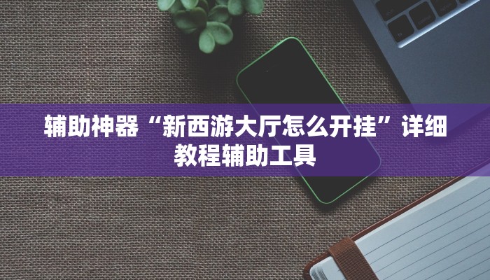 辅助神器“新西游大厅怎么开挂”详细教程辅助工具