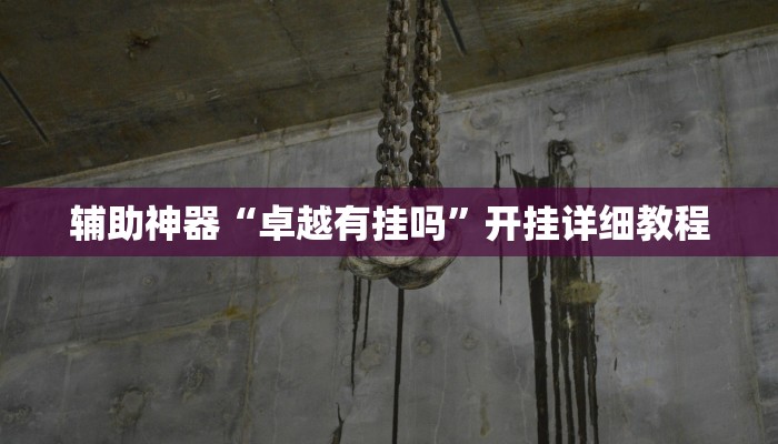 辅助神器“卓越有挂吗”开挂详细教程