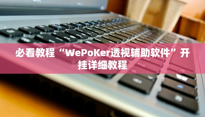 必看教程“WePoKer透视辅助软件”开挂详细教程