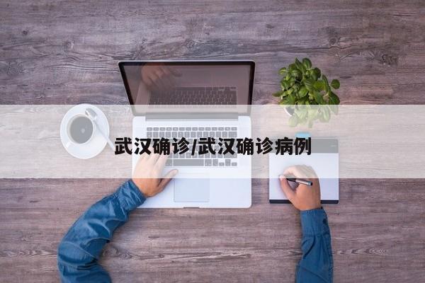武汉确诊/武汉确诊病例