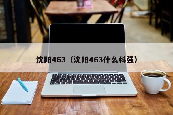 沈阳463(沈阳463什么科强)