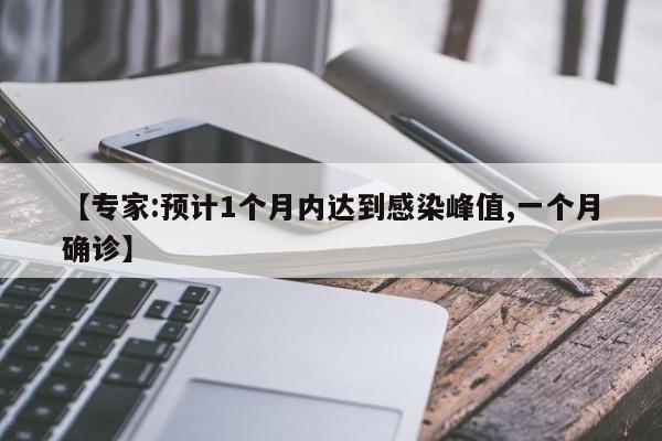 【专家:预计1个月内达到感染峰值,一个月确诊】
