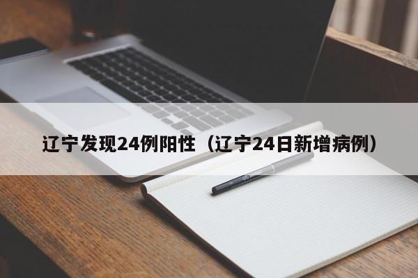 辽宁发现24例阳性(辽宁24日新增病例)