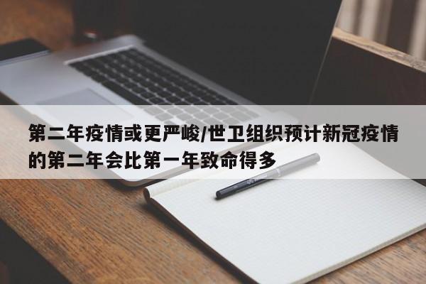 第二年疫情或更严峻/世卫组织预计新冠疫情的第二年会比第一年致命得多