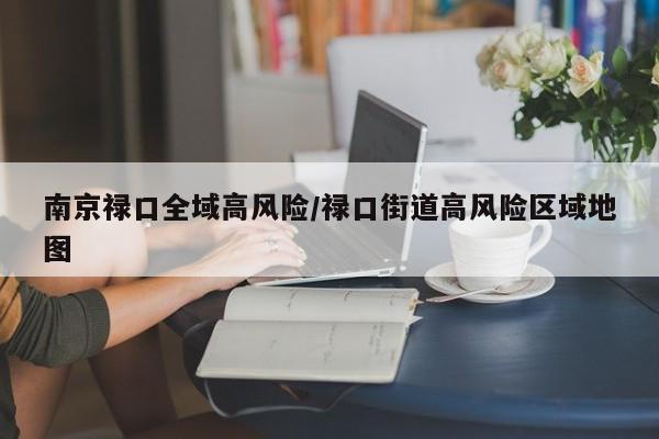 南京禄口全域高风险/禄口街道高风险区域地图